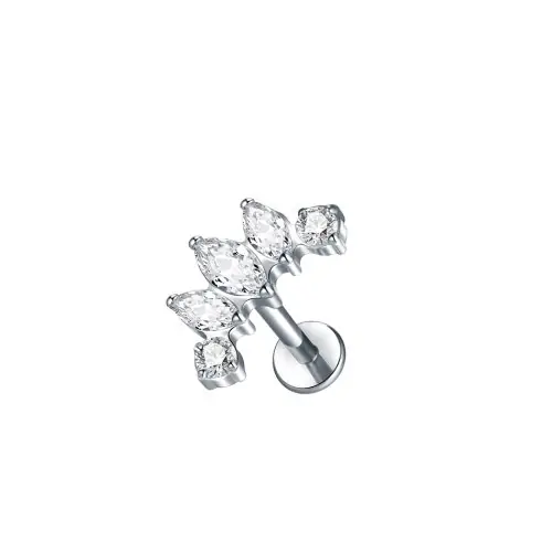 L-argent couleur