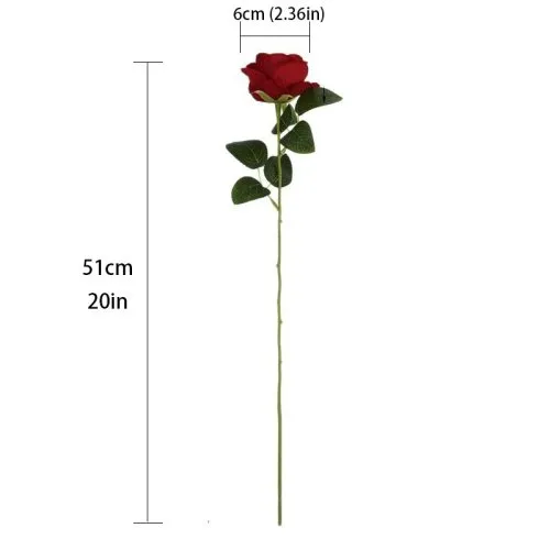 Vue 3 du produit