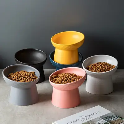Bol en céramique élégant pour chat et chien