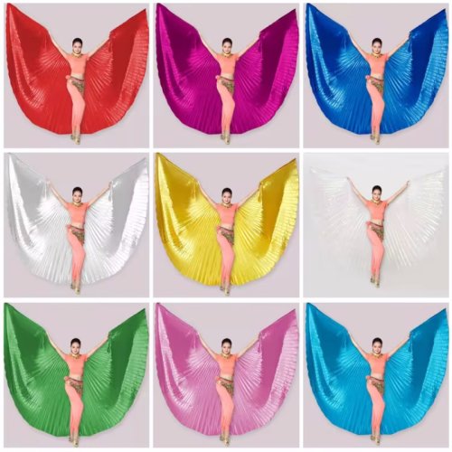 Image of Elegant 360-Degree Belly Dance Wings with Golden and Silver Accents – Professional Performance Costume for Adult Dancers