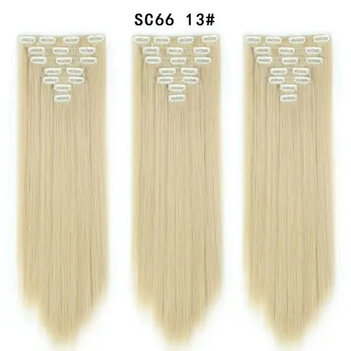 SC66 13