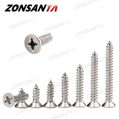 Image de Vis Taraudeuses Inox Zonsanta - Tête Plate Cruciforme