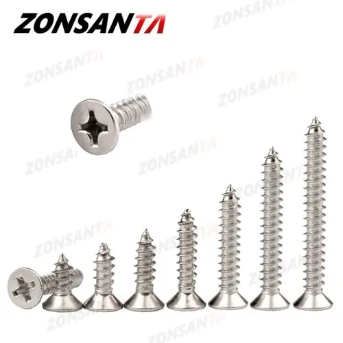 Image de Vis Taraudeuses Inox Zonsanta - Tête Plate Cruciforme