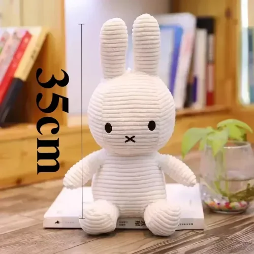 Vue 10 du produit