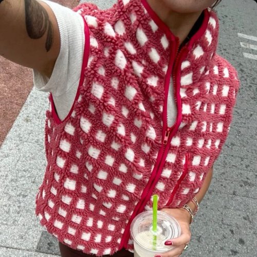 Imagen de Hirigin Chaleco a cuadros peludo para mujer, sin mangas, con cuello levantado, cárdigan con cremallera, chaqueta, primavera y otoño, prendas de vestir Y2K