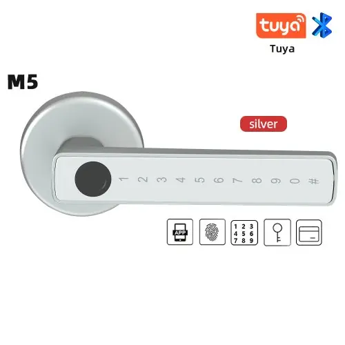 M5 argent