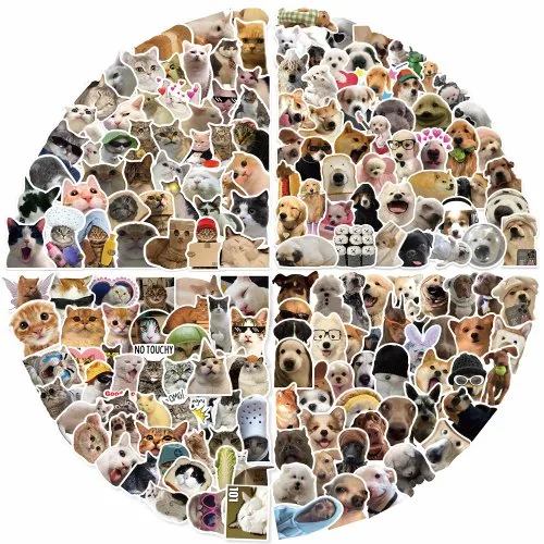 50PCS