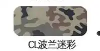 Clmc