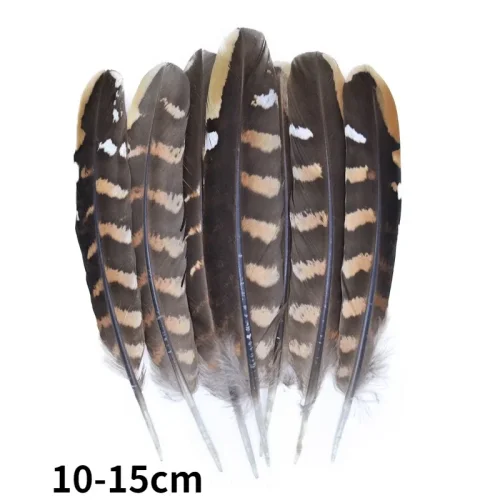 10-15cm