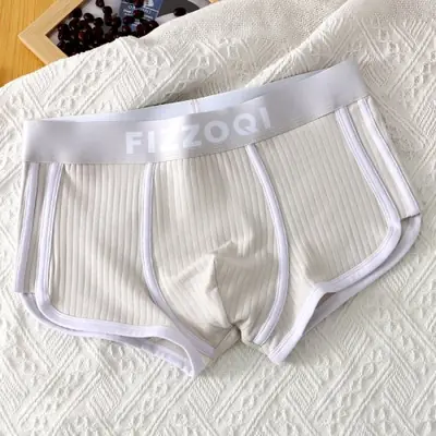 Image de Boxers Hommes Coton Rayé - Confort & Style