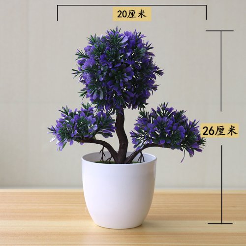 Vue 42 du produit