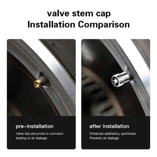 Vue 3 du produit