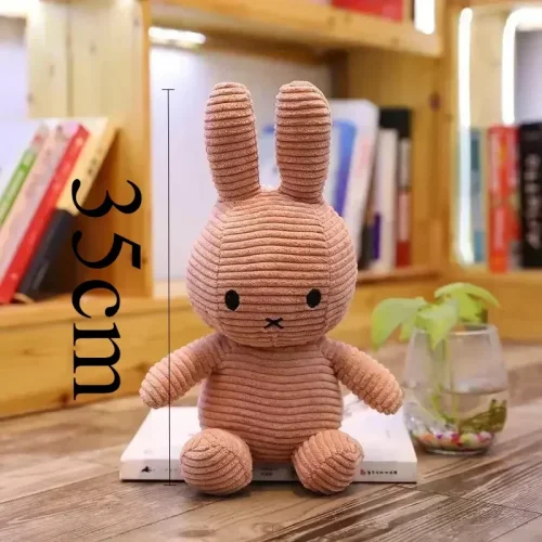 Vue 14 du produit