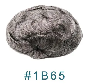 1B65COLOR