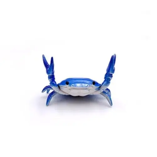 Image de Porte-Stylo Crabe Drôle - Papeterie Créative