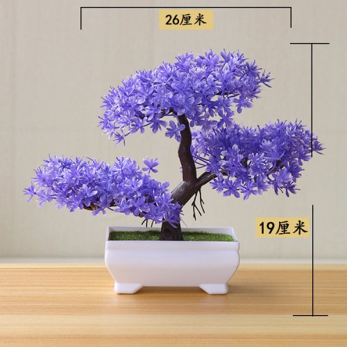 Vue 31 du produit