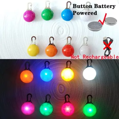 Image de Collier LED Lumineux pour Chien et Chat Rechargeable USB