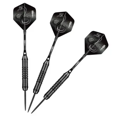Image de Fléchettes Professionnelles 24g - Précision & Performance