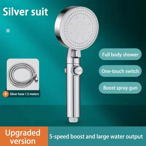 Silver 02