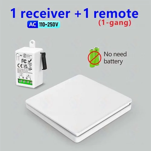 1 Receptor 1 Mando