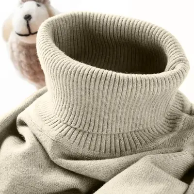 Image de Pull Col Roulé Homme - Style Streetwear Automne