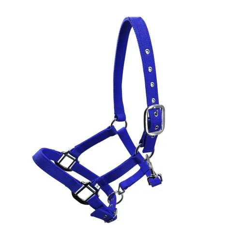 Blue L