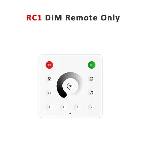 RC1 telecomando