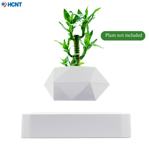 Immagine di Vaso Levitante Magnetico per Piante - Design Moderno e Innovativo