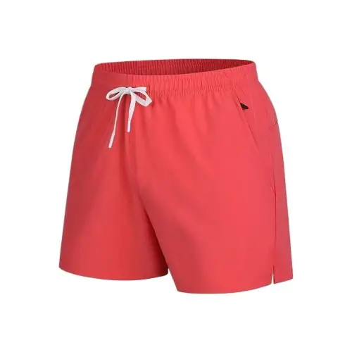Image de Shorts Homme Été - Décontracté & Sportif