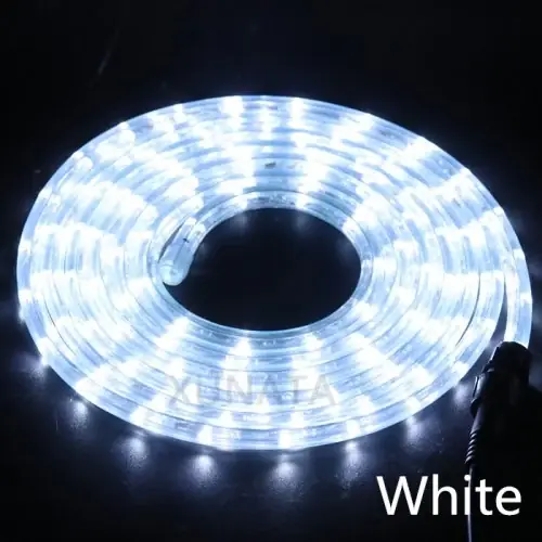 WIT