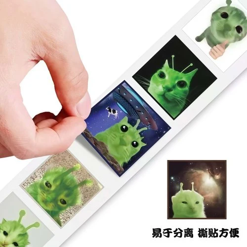 Vue 5 du produit