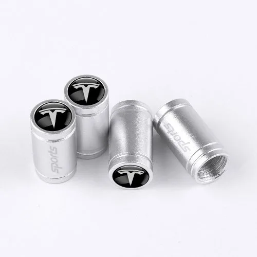 Ms-silber-tesla