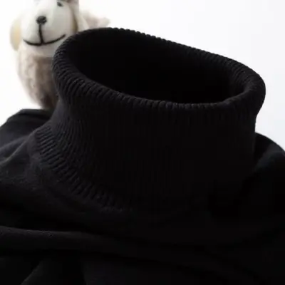 Image de Pull Col Roulé Homme - Style Streetwear Automne