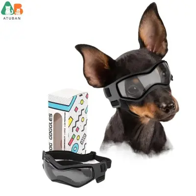 Lunettes de Soleil pour Chien Petit Format