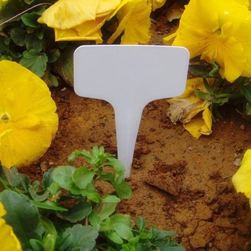 Image de Étiquettes de Jardin Blancs - 100 Pièces