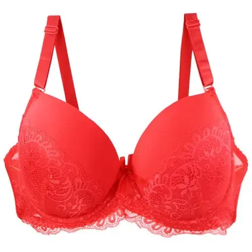 Image de Soutien-Gorge Push-Up Dentelle Sans Couture - Élégant & Séduisant