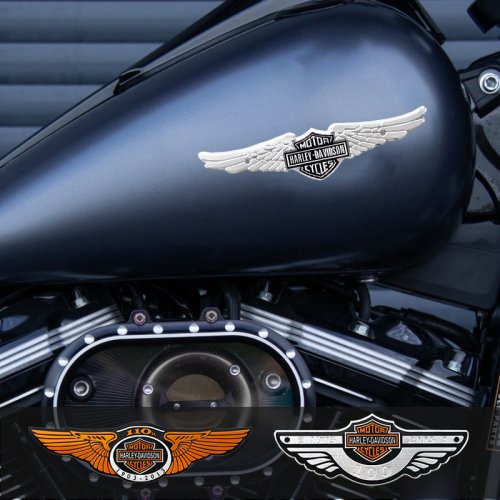 Immagine di Adesivi Moto in Alluminio con Logo Ala di Volo