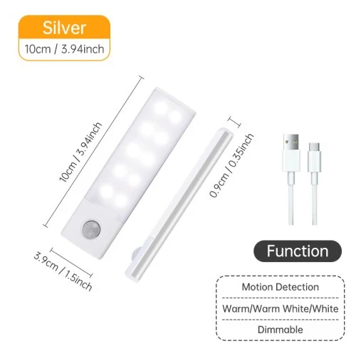 Zilver 10CM