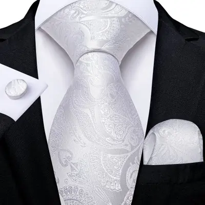 Image de Cravate Homme Paisley Grise - Élégance & Style