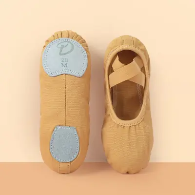 Image de Chaussures de Ballet Souples pour Adultes et Enfants