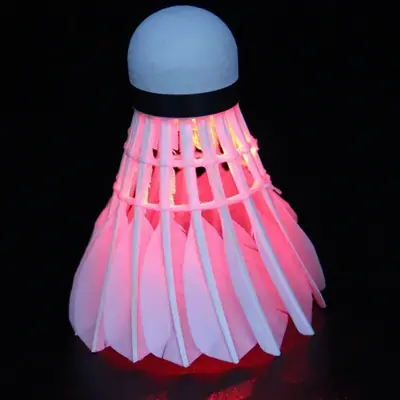 Image de Éclairage LED Badminton Nuit - Lumière Colorée pour Jeu en Extérieur