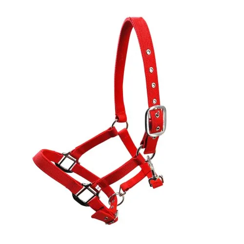Red XL