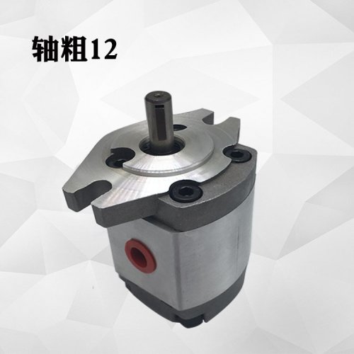 Image de Pompe à Huile Hydraulique HGP 1A - Performante et Fiable