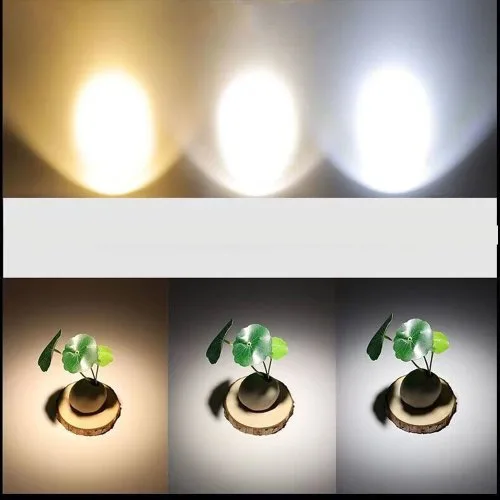 Vue 6 du produit
