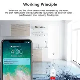 Vue 5 du produit