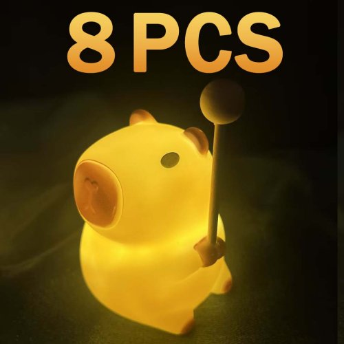 Vue 26 du produit