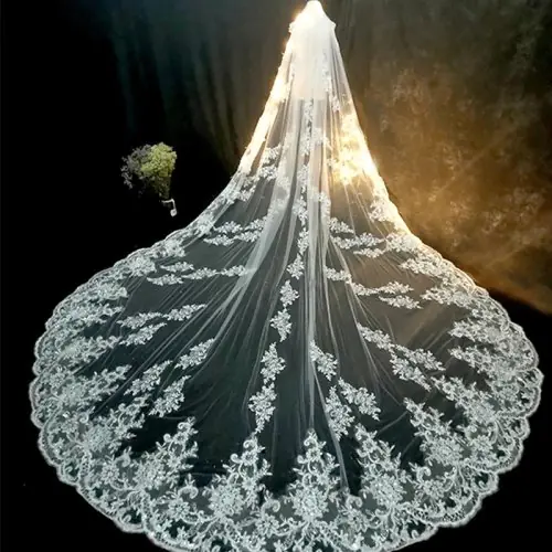 Image de Voile de Mariée Long Luxe Blanc Ivoire