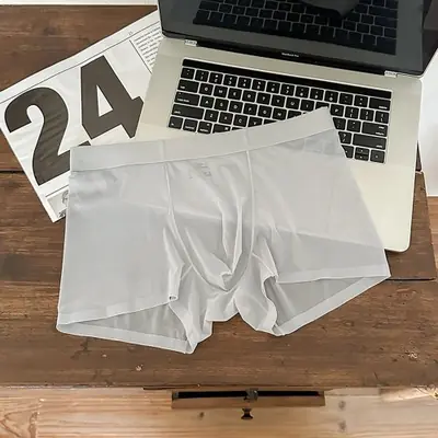 Image de Boxer Homme Transparent Ultra Fin en Soie Glacée