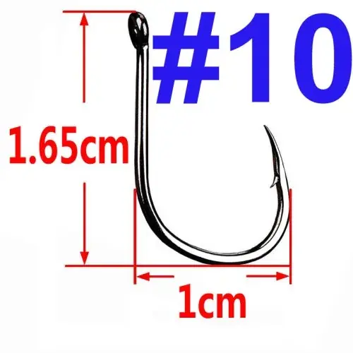 Taille 10