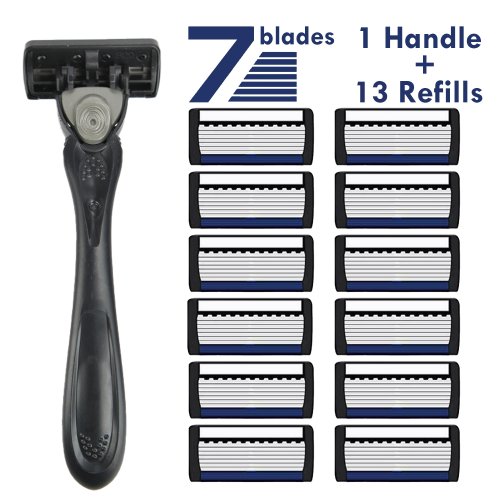 1 Holder 13 Blades
